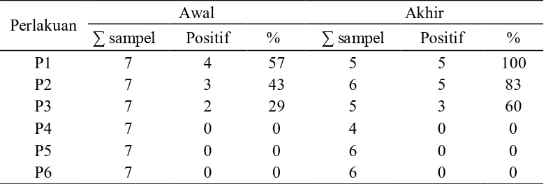 Gambar 3.  Deteksi Transgen pada Benih Ikan Lele Dumbo Non-Transgenik  (Nomor, 89-90 dan 33-35 = Sampel Benih Ikan Lele Non- Transgenik; Nomor 87-88 dan 36-37 = Sampel Predator; M adalah  Marker DNA (100-3.000 bp) (Vivantis); Tanda (+) adalah Kontrol  Positif (pCcBA-PhGH) 