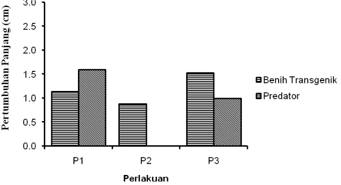 Gambar 4. Pertumbuhan Panjang Benih Ikan Lele Dumbo Transgenik F3 