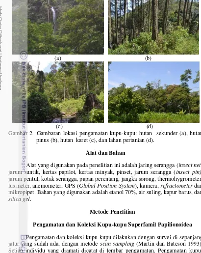 Gambar 2  Gambaran lokasi pengamatan kupu-kupu: hutan  sekunder (a), hutan  