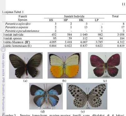 Gambar 3 Spesies kupu-kupu masing-masing famili yang dikoleksi di 4 lokasi 