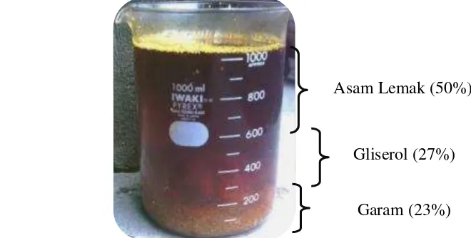 Gambar 4  Pembentukan tiga lapisan: asam lemak, gliserol, dan garam 