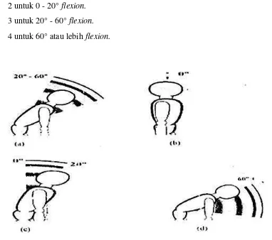 Gambar 2.1.7. Range pergerakan punggung (a) postur 20° - 60° flexion, 