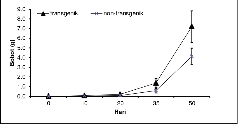 Gambar 2. Laju Pertumbuhan Ikan Lele Transgenik F3 Selama 50 Hari Masa Pemeliharaan. T bar Menunjukkan Standar Deviasi (n=24)  