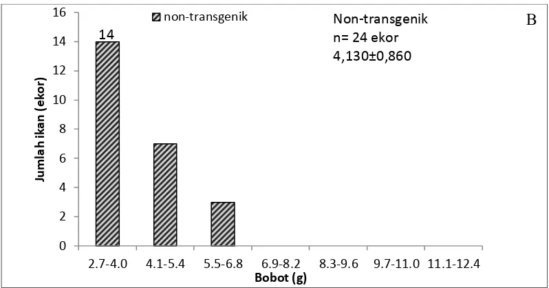 Tabel 3. Jumlah Hari Pemberian Pakan, Konsumsi pakan, Rasio Konversi Pakan dan Efisiensi Pakan Ikan Lele Transgenik F3 dan Non-transgenik 