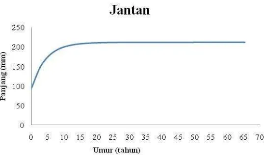 Gambar 11. Grafik pertumbuhan (Lt) ikan tamban jantan 