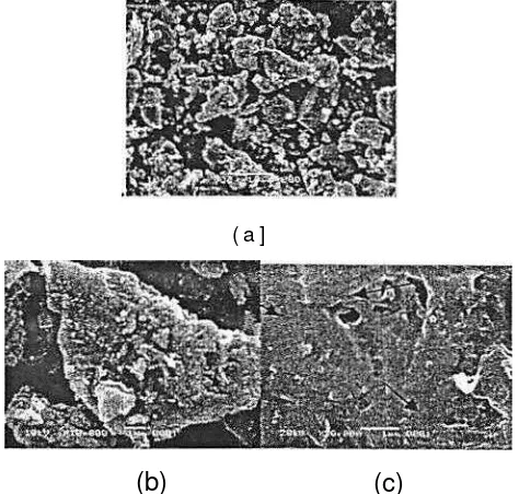 Gambar 5. Morfologi permukaan sampel zeolit Cikalong. 