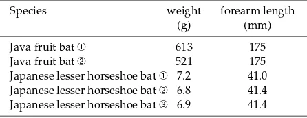 Table 1.The body weight and forearm length of the Javafruit bat and the Japanese lesser horseshoe bat