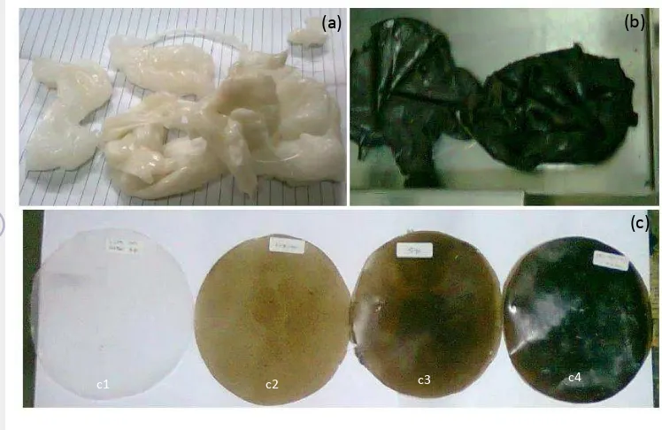 Gambar 6  Bongkahan LLDPE –MA (a), LLDPE-MA-limbah akar wangi 