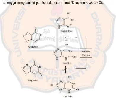 Gambar 2. Mekanisme kerja Alopurinol (Khayoon et al, 2008). 
