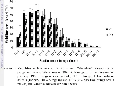 Gambar 5 Viabilitas serbuk sari A. radicans var. „Monalisa‟ dengan metode pengecambahan dalam media BK