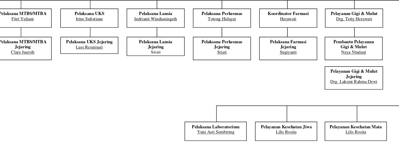 Gambar 3.2 Struktur organisasi pada puskesmas ciumbulueit 