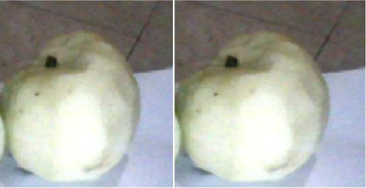 Gambar 1. Apel Hijau yang Kulitnya Tanpa Dikupas (Pyrus malus, L) 