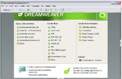 Gambar 2.9 Macromedia Dreamweaver 8 