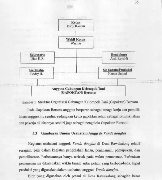 Gambar 5 Struktur Organisasi Gabungan Kelompok Tani (Gapoktan) Bersatu 
