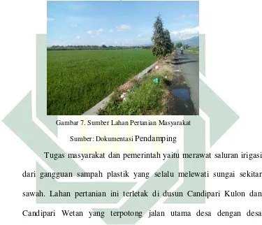 Gambar 7. Sumber Lahan Pertanian Masyarakat 