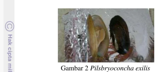 Gambar 2.  