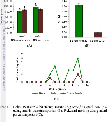 Gambar 12.  Bobot awal dan akhir udang  mantis (A); Specific Gowth Rate (SG) 