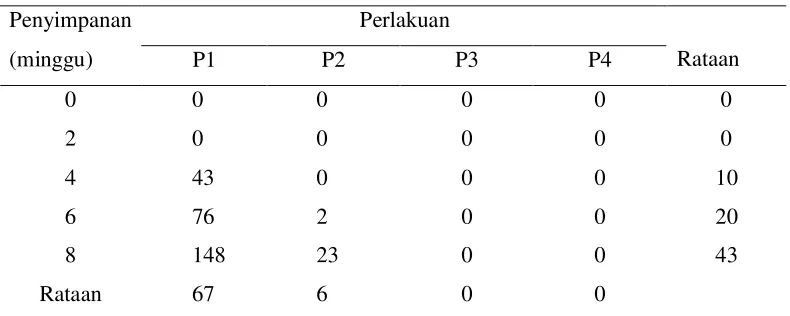 Gambar 5. Serangga Penelitian