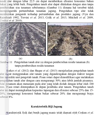 Gambar 11   Pengolahan tanah alur (a) dengan pembersihan residu tanaman (b)  