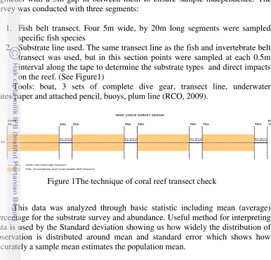 Figure 1The technique of coral reef transect check 