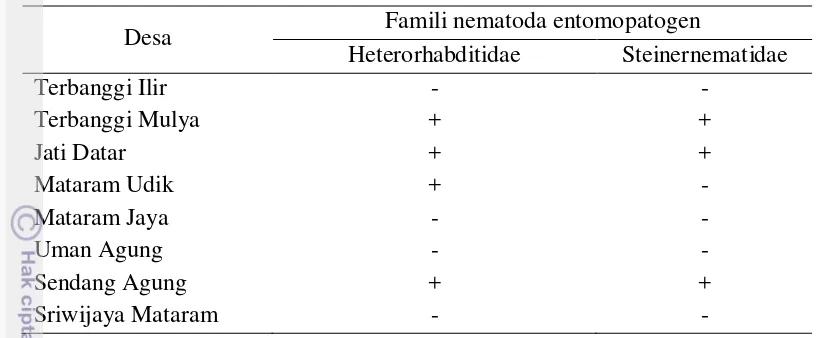 Tabel 3  Famili nematoda entomopatogen pada setiap lokasi pengambilan sampel 