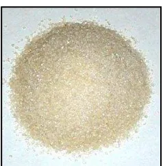 Gambar  12. Gula kristal mentah (Anonima, 2008) 