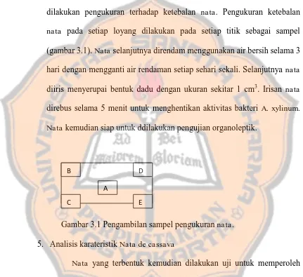 Gambar 3.1 Pengambilan sampel pengukuran nata.  