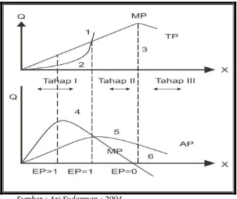Gambar 2.1 Kurva hubungan TP, MP dan AP 