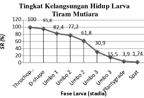 Gambar 5. Grafik Tingkat Kelangsungan hidup Larva Tiram Mutiara 