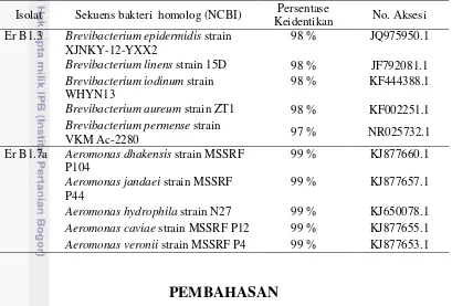 Tabel 3 Hasil identifikasi isolat Er B1.3 dan isolat Er B1.7a