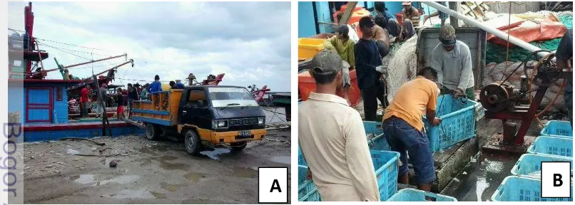 Gambar 4.   Aktifitas di PPN Pemangkat (A) dermaga dan (B) tangkahan  