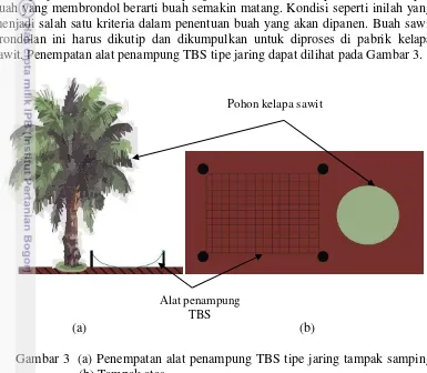 Gambar 3  (a) Penempatan alat penampung TBS tipe jaring tampak samping 