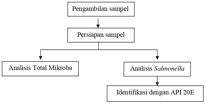 Gambar 1. Diagram Alir Metode Penelitian Tahap I 