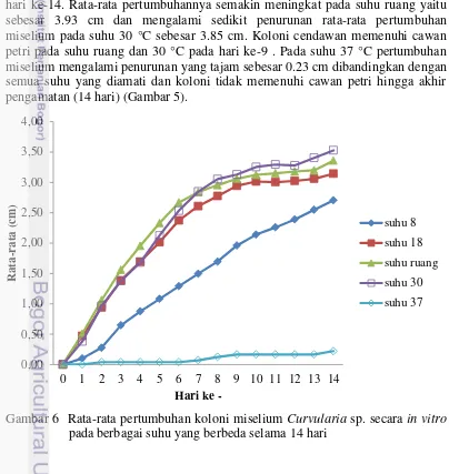 Gambar 6  Rata-rata pertumbuhan koloni miselium Curvularia sp. secara in vitro 
