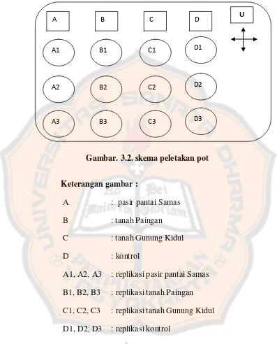 Gambar. 3.2. skema peletakan pot 