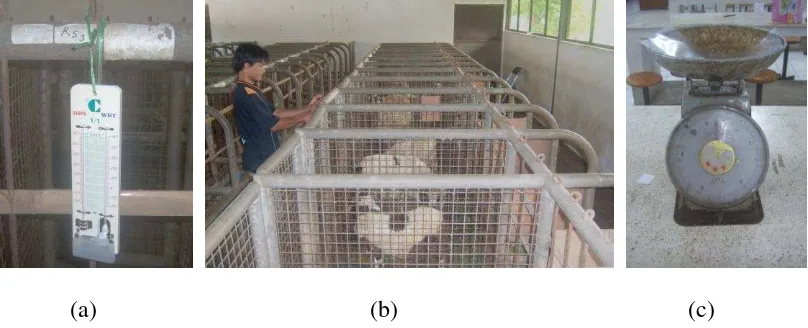 Gambar 2. (a) Termometer Basah dan Kering; (b) Kandang; (c) Timbangan  