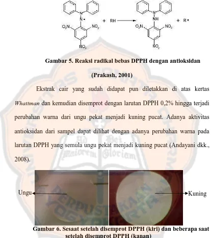 Gambar 5. Reaksi radikal bebas DPPH dengan antioksidan