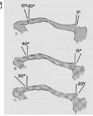 Figure 1. Anatomy and biomechanics of the AC and SC joints.3 