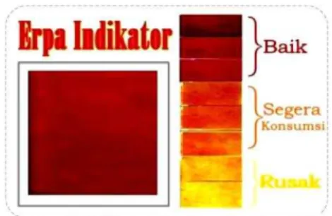 Figure 2 Color indicator (Nofrida 2013) 