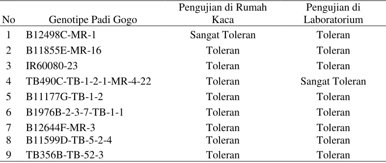 Tabel 6. Sembilan Genotipe Padi Gogo Toleran Kekeringan pada Pengujian Rumah Kaca dan Laboratorium  