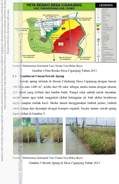 Gambar 4 Peta Resiko Desa Ciganjeng Tahun 2013 