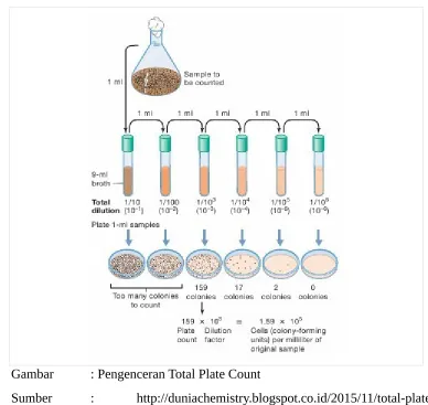 Gambar: Pengenceran Total Plate Count