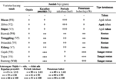 Tabel 4. Pengelompokkan tipe ketahanan ke-10 varietas terhadap fitoplasma penyakit sapu pada kacang tanah 