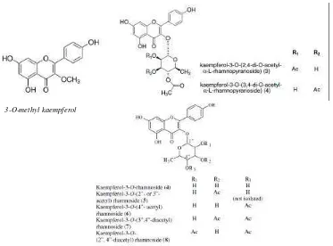 Gambar 1. Struktur senyawa flavonoid dan glikosida dalam rimpang Z. zerumbet (Chien et al., 2011; Ruslay et al., 2007 ) 