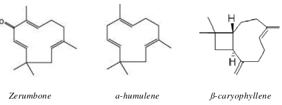 Gambar 2. Struktur senyawa mayor dalam rimpang Z. zerumbet (Chien et al., 2011; Ruslay et al., 2007; Yu et al., 2008) 