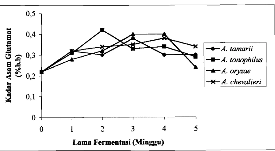 Gambar 5. Perubahan kadar asam glutamat katsuobush selama fermentasi 