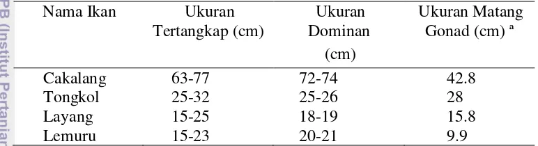 Tabel 6  Ukuran ikan hasil tangkapan yang dominan di Perairan Sibolga 