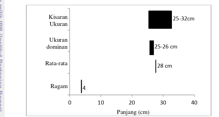 Gambar 5 Ukuran ikan tongkol di Perairan Sibolga bulan Maret-Februari 2014 