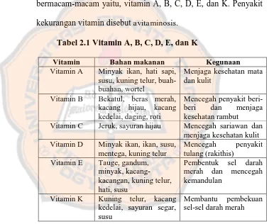 Tabel 2.1 Vitamin A, B, C, D, E, dan K 