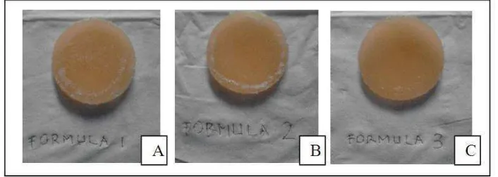 Gambar 3. Gelatin (1:1) ; (B) Formula 2 Etil selulosa : Gelatin (1:1,5) ; (C) Formula 3  Membran Hidrogel Berpori (A) Formula 1 Etil selulosa : Etil selulosa : Gelatin (1:2) 